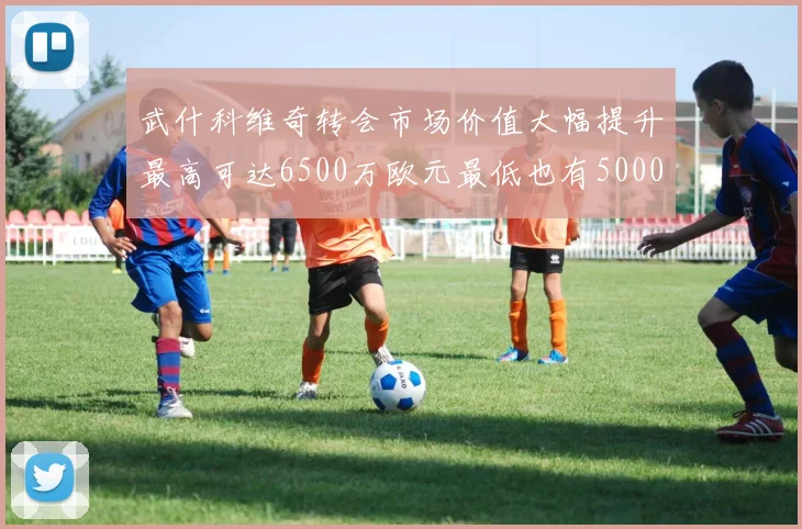 武什科维奇转会市场价值大幅提升最高可达6500万欧元最低也有5000万欧元