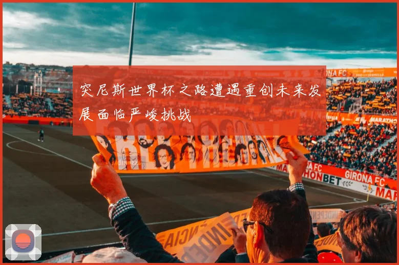 突尼斯世界杯之路遭遇重创未来发展面临严峻挑战