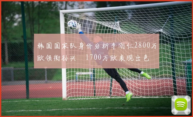 韩国国家队身价分析李刚仁2800万欧领衔孙兴慜1700万欧表现出色