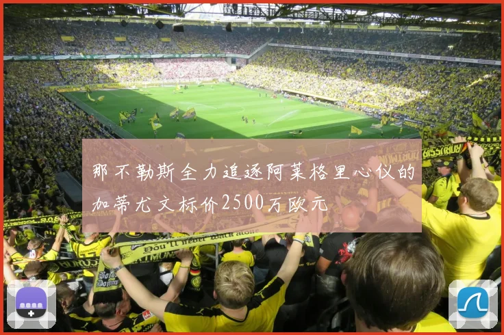 那不勒斯全力追逐阿莱格里心仪的加蒂尤文标价2500万欧元